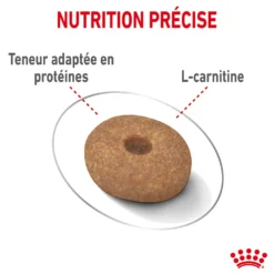 Royal Canin Mini Light Weight Care - Croquettes pour chien