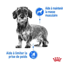 Royal Canin Mini Light Weight Care - Croquettes pour chien