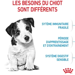 Royal Canin Mini Puppy - croquettes chiot
