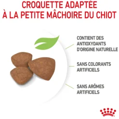 Royal Canin Mini Puppy - croquettes chiot
