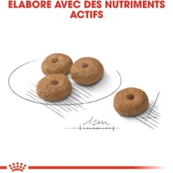 Royal Canin Mini Sterilised - croquettes chien