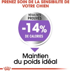 Royal Canin Mini Sterilised - croquettes chien
