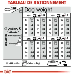 Royal Canin Mini Sterilised - croquettes chien