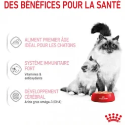 Royal Canin Mother & Babycat