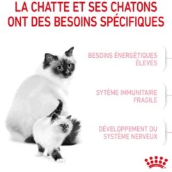 ROYAL CANIN Mother & BabyCat - Croquettes pour chatte et chaton