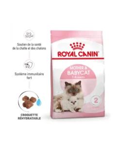 ROYAL CANIN Mother & BabyCat - Croquettes pour chatte et chaton