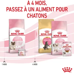 ROYAL CANIN Mother & BabyCat - Croquettes pour chatte et chaton