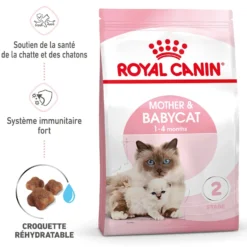 ROYAL CANIN Mother & BabyCat - Croquettes pour chatte et chaton