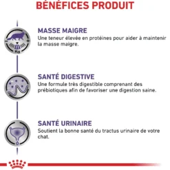 Royal Canin Neutered Balance - pâtée chat