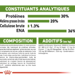 Royal Canin Outdoor - croquettes chat