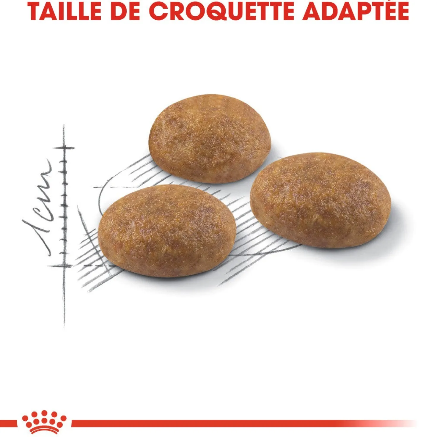 Royal Canin Outdoor - croquettes chat
