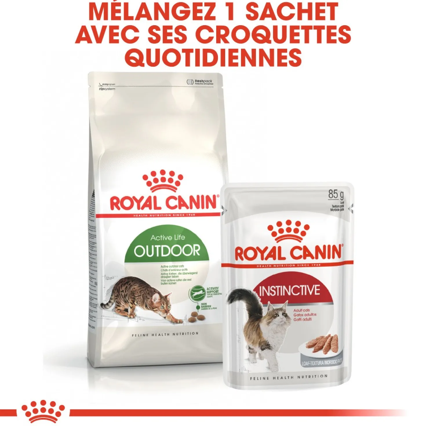 Royal Canin Outdoor - croquettes chat