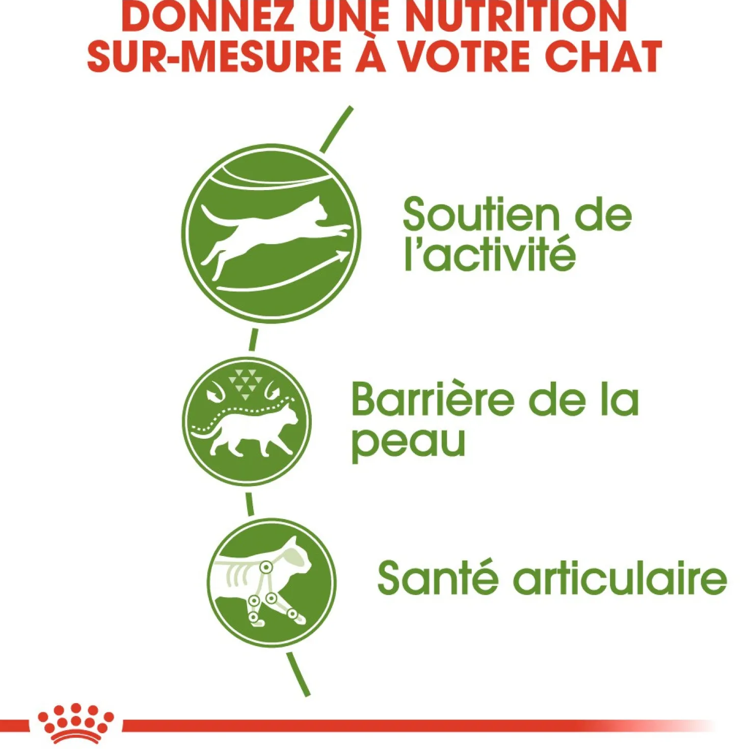 Royal Canin Outdoor - croquettes chat