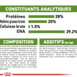 Royal Canin Outdoor 7+ - croquettes chat