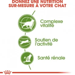 Royal Canin Outdoor 7+ - croquettes chat