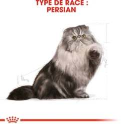 Royal Canin Persian Adult - croquettes chat