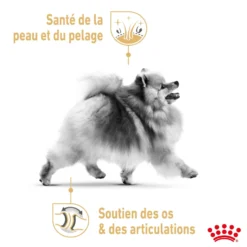 Royal Canin Pomeranian Adult (Spitz Nain) - pâtée chien