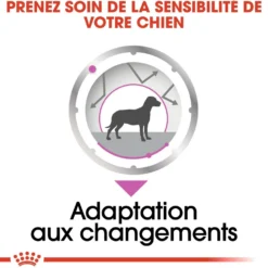 Royal Canin Relax Care - Pâtée pour chien