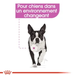 Royal Canin Relax Care - Pâtée pour chien