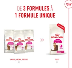 Royal Canin Savour Exigent - croquettes chat