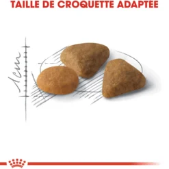 Royal Canin Savour Exigent - croquettes chat