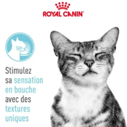 Royal Canin Sensory Feel