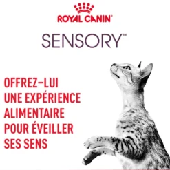 Royal Canin Sensory Multipack - pâtée chat