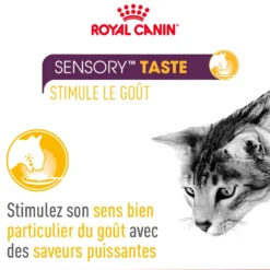 Royal Canin Sensory Multipack - pâtée chat