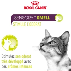 Royal Canin Sensory Multipack - pâtée chat