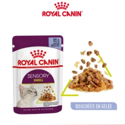 Royal Canin Sensory Smell