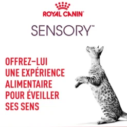 Royal Canin Sensory Taste