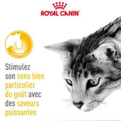 Royal Canin Sensory Taste