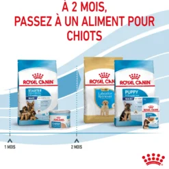 ROYAL CANIN Starter Maxi Mother & Babydog - Croquettes pour chiot