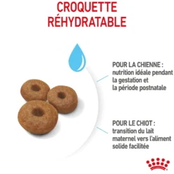 ROYAL CANIN Starter Maxi Mother & Babydog - Croquettes pour chiot