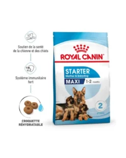 ROYAL CANIN Starter Maxi Mother & Babydog - Croquettes pour chiot