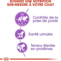 Royal Canin Sterilised 37 - croquettes chat