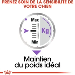 Royal Canin Sterilised - pâtée chien