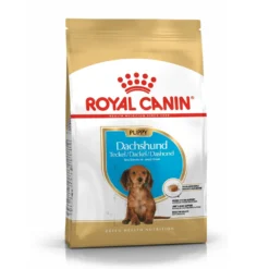 Royal Canin Teckel Puppy (Dachshund) - croquettes chiot