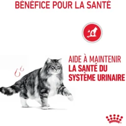 Royal Canin Urinary Care - croquettes chat