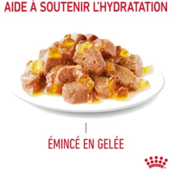Royal Canin Urinary Care en gelée – pâtée chat