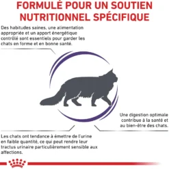 Royal Canin Vet Care Adult