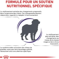 Royal Canin Vet Care Mature Large Dog - croquettes chien