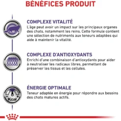 Royal Canin Vet Care Senior Consult Stage 1 Balance / Mature Consult Balance - croquettes chat