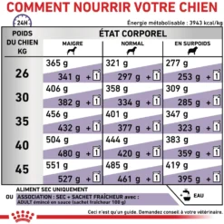 Royal Canin Veterinary Adult Large Dog - croquettes chien