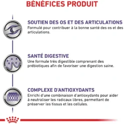 Royal Canin Veterinary Adult Large Dog - croquettes chien