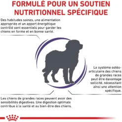 Royal Canin Veterinary Adult Large Dog - croquettes chien