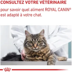 Royal Canin Veterinary Calm - croquettes chat