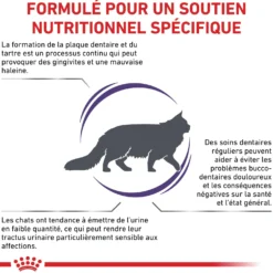Royal Canin Veterinary Dental - croquettes chat