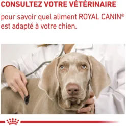 Royal Canin Veterinary Dental Small Dog