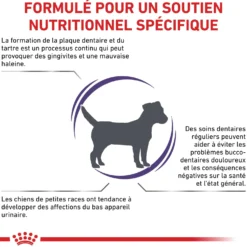 Royal Canin Veterinary Dental Small Dog